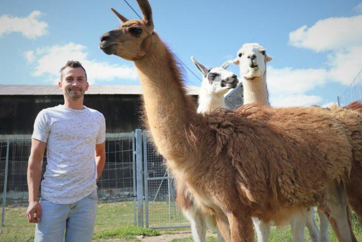 2022 lamas ferme de velbret