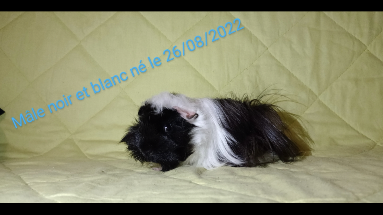Db45b7a9 f8fa 4c6d aff3 62e4a4187a29