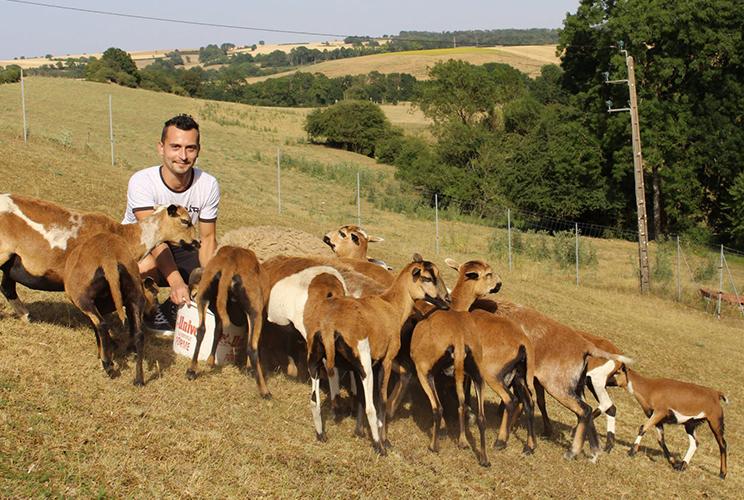 Lbp 2019 moutons du cameroun ferme de velbret